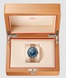 Seamaster 300 Co-axial Master Chronometer 41mm Blue Dial And Bezel Stainless Steel Beige Leather Strap